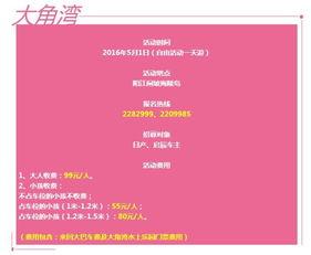 阳江闸坡新闻爆料,揭秘当地最新动态与热点事件 第1张 阳江闸坡新闻爆料,揭秘当地最新动态与热点事件 第1张